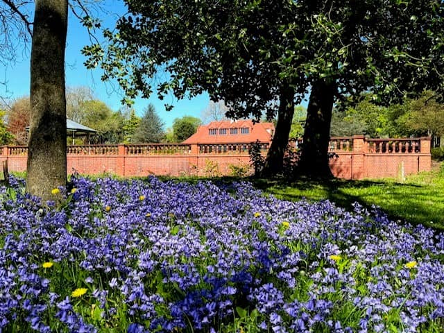New café and family kiosk open at Hanley Park — Hanley news photo