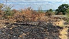 Park Hall Country Park: Appeal Over Deliberate Fires — Stoke-on-Trent news photo