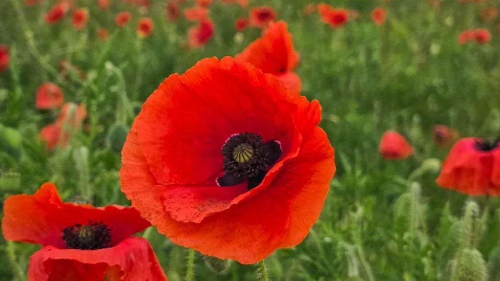 Stoke readers share brilliant West Midlands photos — Stoke-on-Trent news photo (BBC Stoke & Staffordshire)