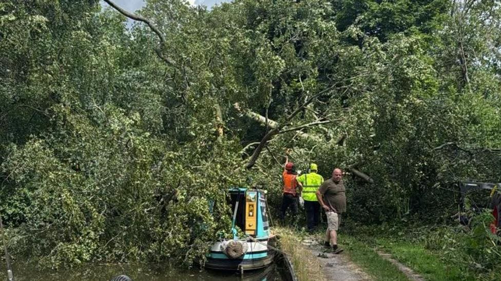 Stoke Canal Blocked After Tree Falls on Boat — Stoke-on-Trent news photo (BBC Stoke & Staffordshire)