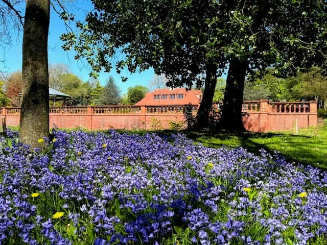 New café and family kiosk open at Hanley Park — Stoke-on-Trent news photo