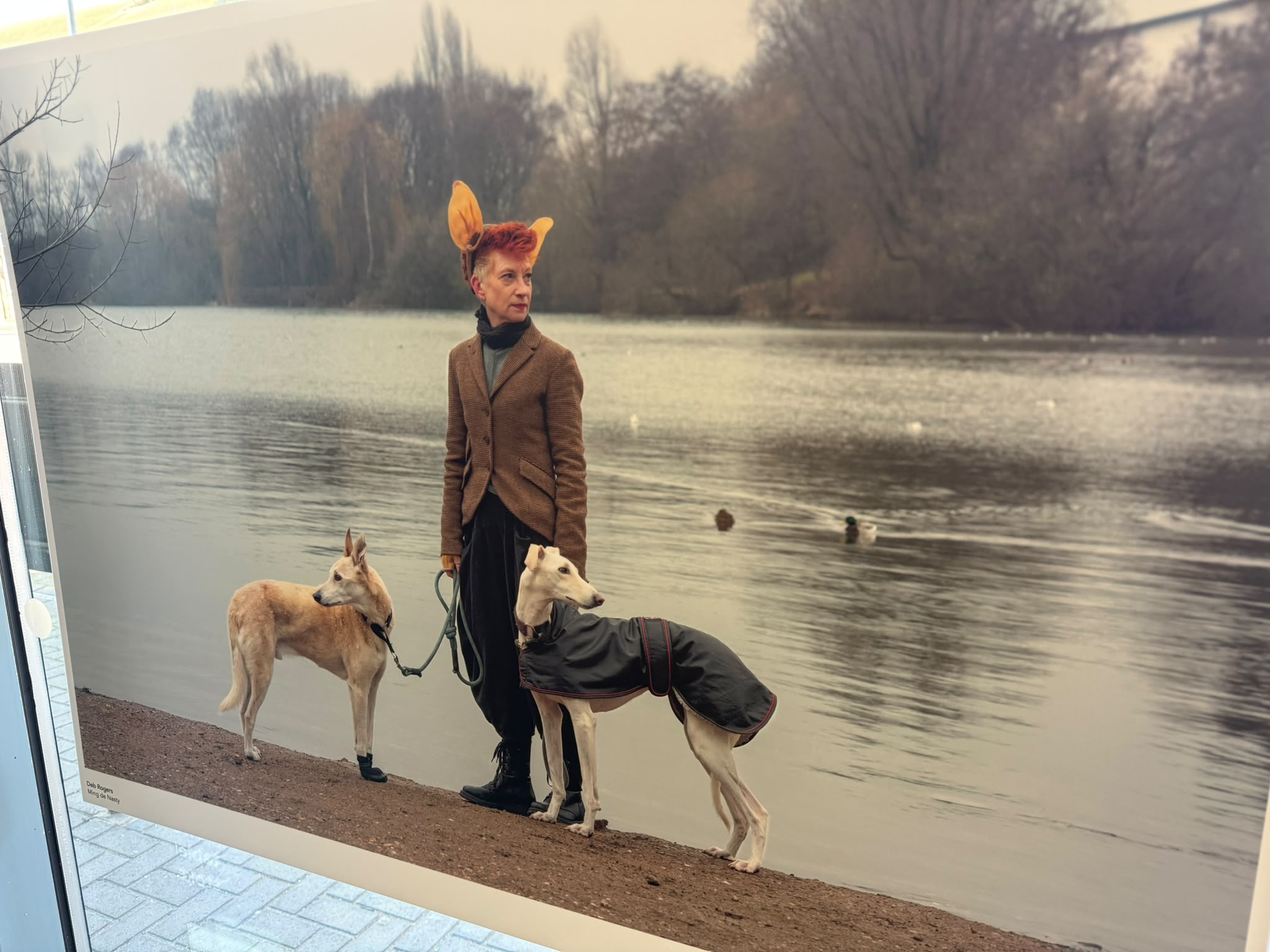 An Always Here portrait panel showing a person with two dogs